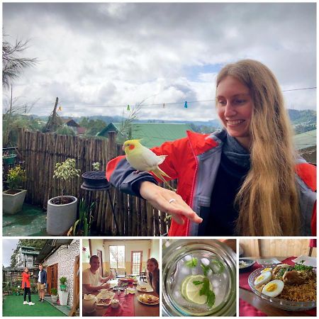 Golden King Guest Bed and Breakfast Nuwara Eliya Buitenkant foto